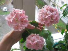 ����������