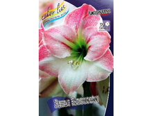 ��������� ���� �������-250,50.jpg