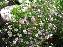 �.���������-�������-������� ���. ����. ����� ������ �� ���������2.jpg