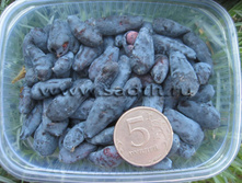 ��������� ������ �9-165�.jpg