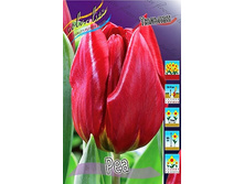 14,75���. ������� ���(���������� ������ ������ ���������� �� 10 ��.).jpg