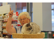 14241509 1102189846529734 1400355911172253993 o.jpg