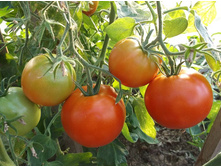 ��-��-��