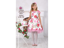 �-431 , ����