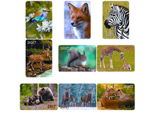 ��������� ��������� � ���� ��������, ��������� ���������, 2017 �. 1,71.jpg