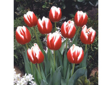 ������� ��� ��� ��� ���� ��� ��������� ������. ����� ������ �� ���������.jpg