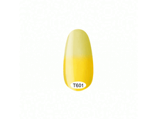 �601.gif