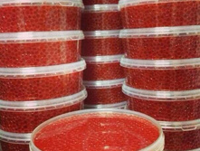 ���� ������� �������