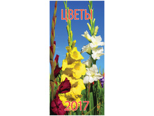 ��������� ������. �������. �� ������ ���� - �����, 16,5-34 ��, 6 �., � �������, 2017 �. 43,92.jpg