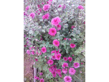 ���������� �������. 100 �.