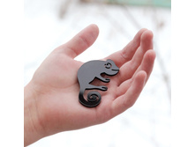 ����� �������� ������