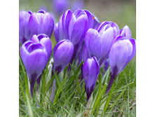 ������ ����� ����� 7-8 ����������.(25��) ������ ���� 180,93 ���. ����� ���� 153,79 ���jpg