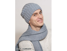 ������ ������ ������� 410