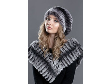 ����� �� ������� 843 ��������-2500 ���