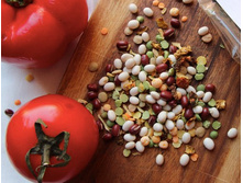 ���� �����