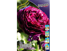 9,13���. ���������� �����(���������� ������ ������ ���������� �� 10 ��.).jpg