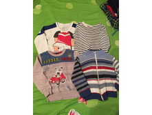 ���� �������