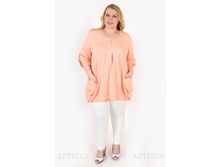 ������ V99.1