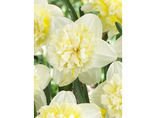 15,69���. ������� ��� ����(��� 10 ��. ���������� ������ 5��.).jpg