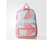 Adidas-riukzak-ay5112 1208 ���.jpg