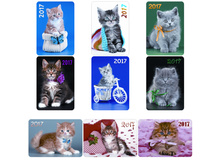 ��������� ��������� ����� ������, ��������� ���������, 2017 �. 1,71.jpg