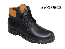 2550�. AhON 850 088
