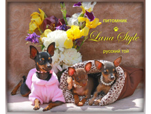 IMG 20160926 203523 0.jpg