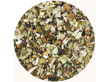 ������ ������� «���� �����������»