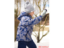 �� 36008�4 ��.jpg