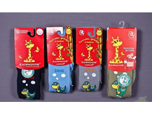 ������� ���������