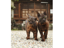 �� � ������ �����, ��������?