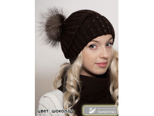 ������ ������ � �������� � �����. ������� 1060