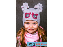 ����� ������� � �/� ��������� (������) - 0P15, 425 ���.