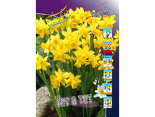 10,07���. ������� ��� � ���(���������� ������ ������ ���������� �� 10 ��.)���16.jpg