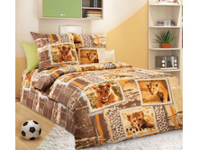 ��� ��������