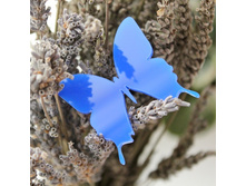 ��.����.����