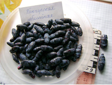 ��������� ��������� ������� �9-165�.jpg