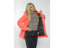 �-8515 ����������