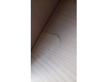 20160914 143137[1].jpg