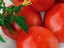 ����� ���������-����������� 5,8 ���. - 0,2 ��.jpg