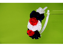 5-189 ������ TRESTELLE � ������� 4 �� ����  505,26