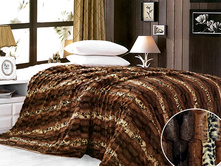 ���� "����� ԣ����"