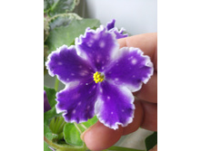 ���������2