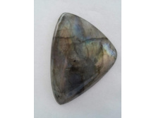 �������� ����������