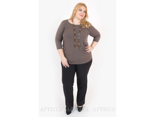 ������ M27.1