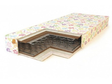 ������ Kids TONUS