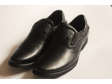 silv catto 11SY01807 680h+%.JPG