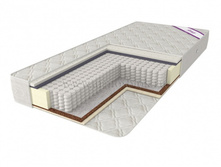 ������ ����