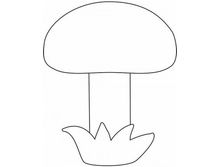 �6_����_20+%