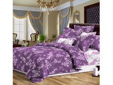 ������ ����.jpg